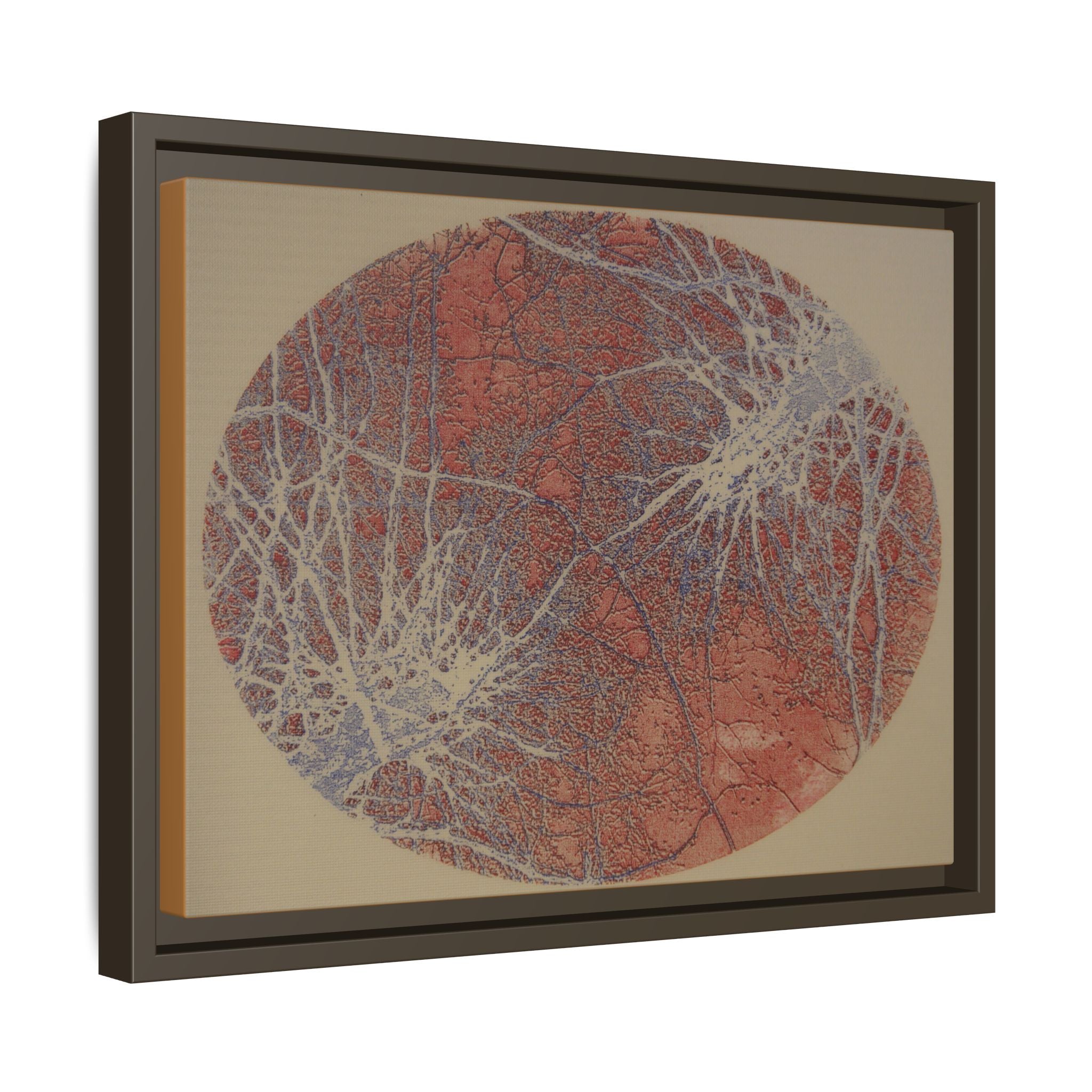 Abstract Botanical Circle Matte Canvas Framed Art — Multi‑Color - no 49