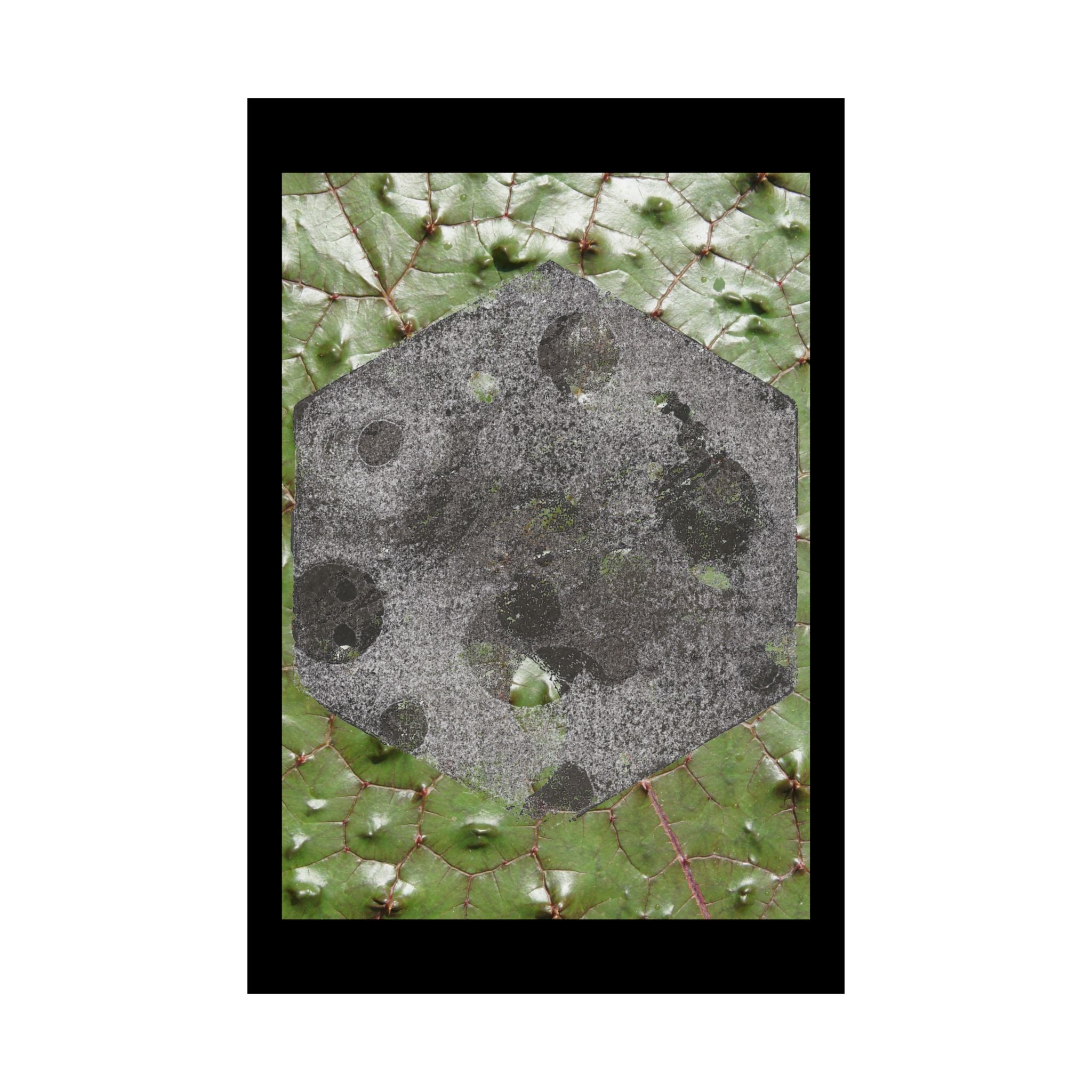 Botanical Moon Hex Poster — Matte Vertical Nature Art Print