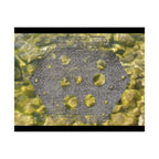 Abstracte geode matte horizontale poster — Gele kristaltextuur wanddecoratie 