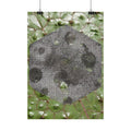 Botanische Maan Hex Poster — Verticale Natuur Kunstprint 