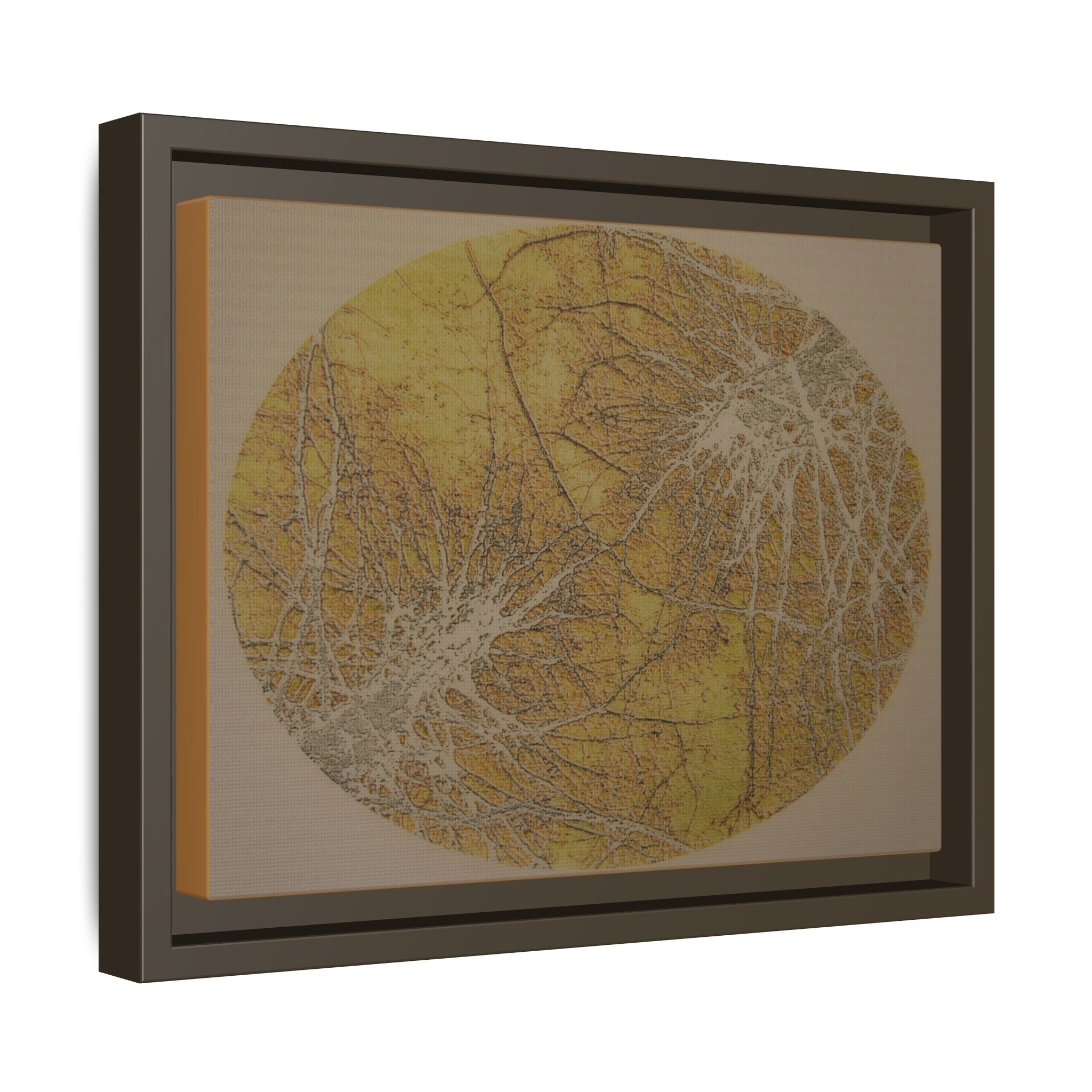 Framed Matte Canvas Art - Abstract Golden Circle Botanical Print - no 44