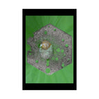 Hexagon Moss Orb Poster | Matte Vertical Botanical Wall Art