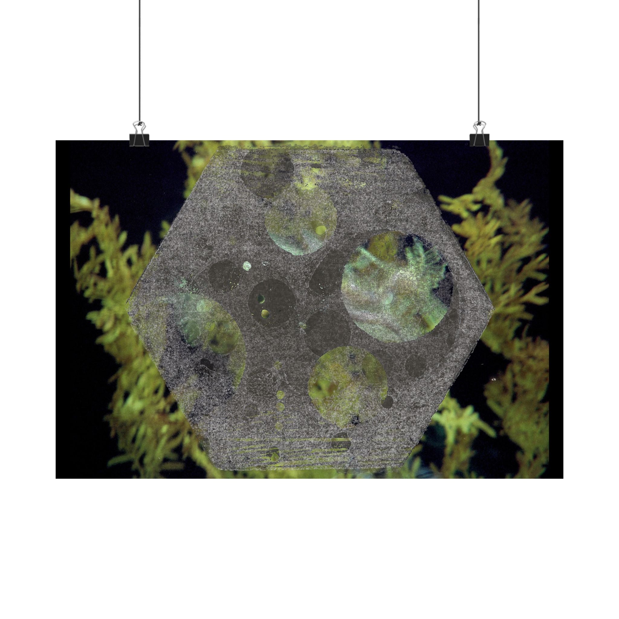 Abstract Botanical Moon Matte Horizontal Poster
