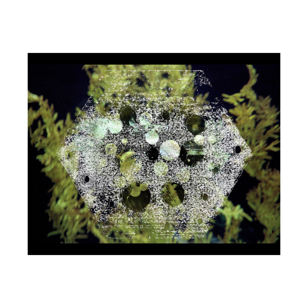 Matte Horizontal Poster — Abstract Marine Coral Hexagon Art