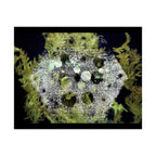 Matte Horizontal Poster — Abstract Marine Coral Hexagon Art