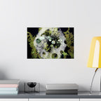 Abstract Green Bubble Matte Poster — Botanical Surreal Horizontal Wall Art