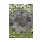 Botanische Maan Hex Poster — Verticale Natuur Kunstprint 