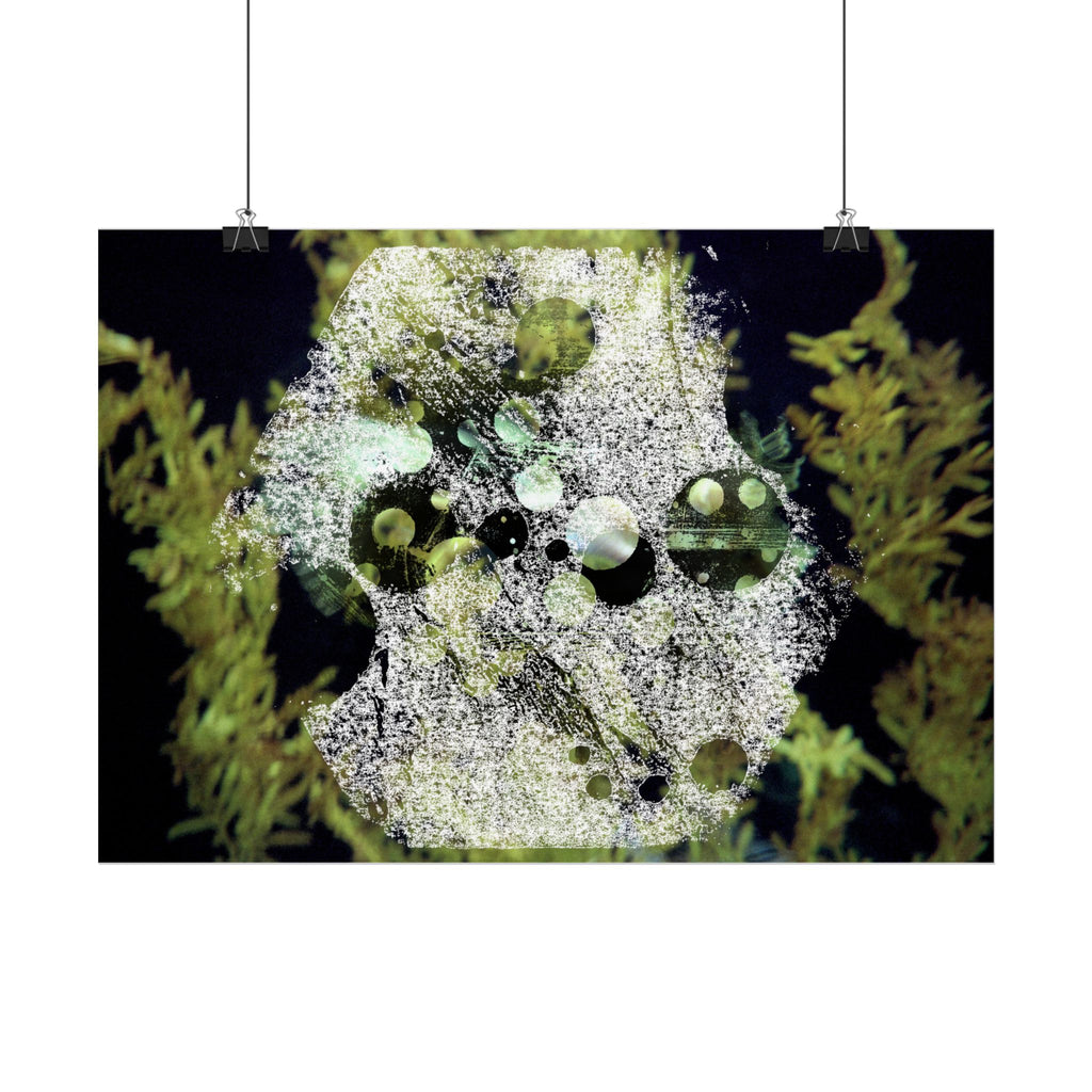 Abstracte poster met groene algen — Botanische oceaan muurdecoratie (horizontaal) 
