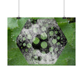 Horizontal Poster — Green Hexagon Botanical Abstract Wall Art