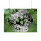 Horizontal Poster — Green Hexagon Botanical Abstract Wall Art