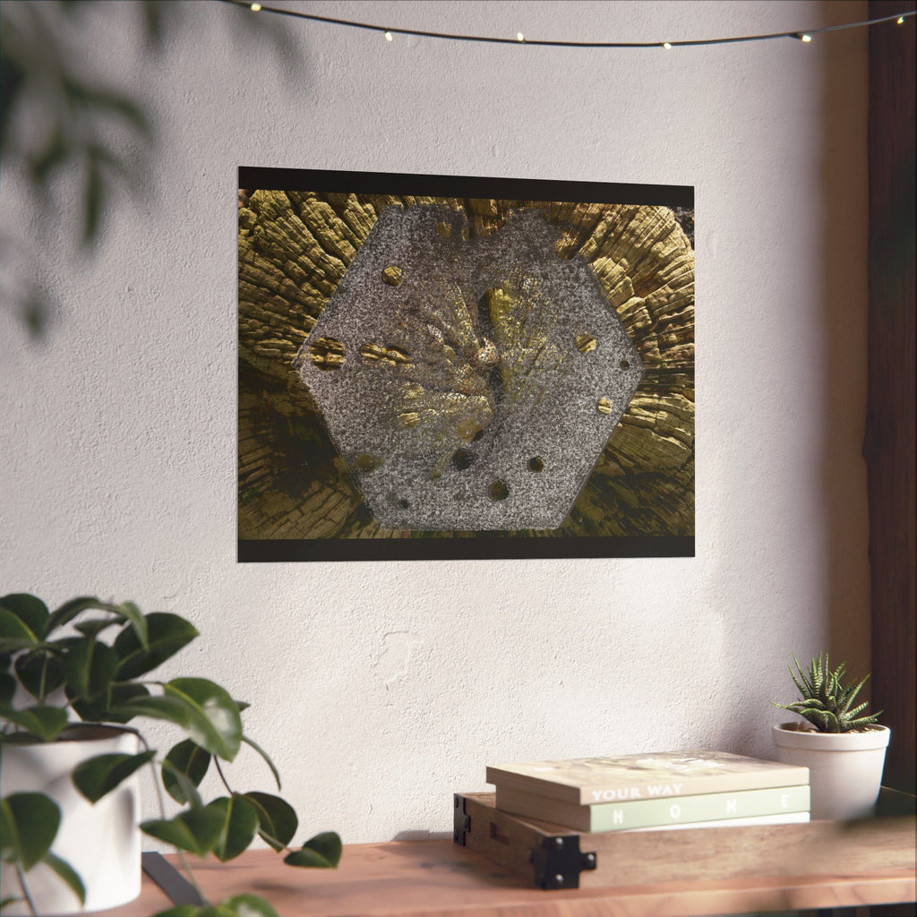 Weathered Tree Cross-Section Poster | Matte Horizontal Wall Art