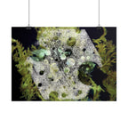 Abstract Nature Horizontal Poster — Moss & Stone Texture Wall Art