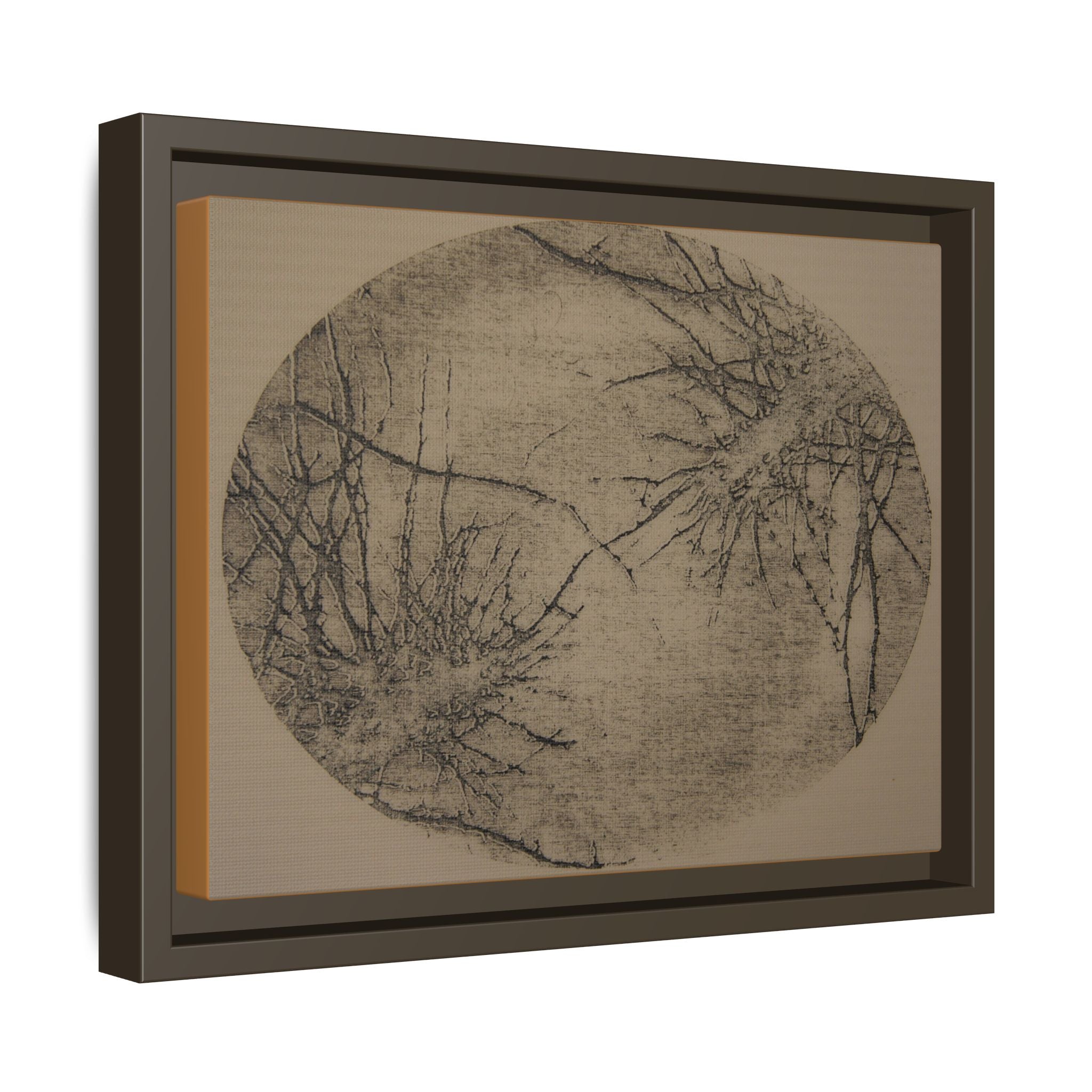 Abstract Botanical Matte Canvas Framed Wall Art - no 36