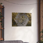 Weathered Tree Cross-Section Poster | Matte Horizontal Wall Art