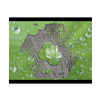 Dewy Leaf Macro Matte Horizontal Posters | Nature Water Droplet Wall Art