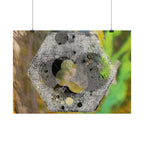 Abstract Hex Bolt Close-Up Poster — Industrial Nature Wall Art