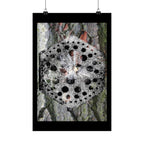 Abstracte natuurmandala poster — Zwart-wit paddenstoelen en boomschorskunst (matte verticale poster) 