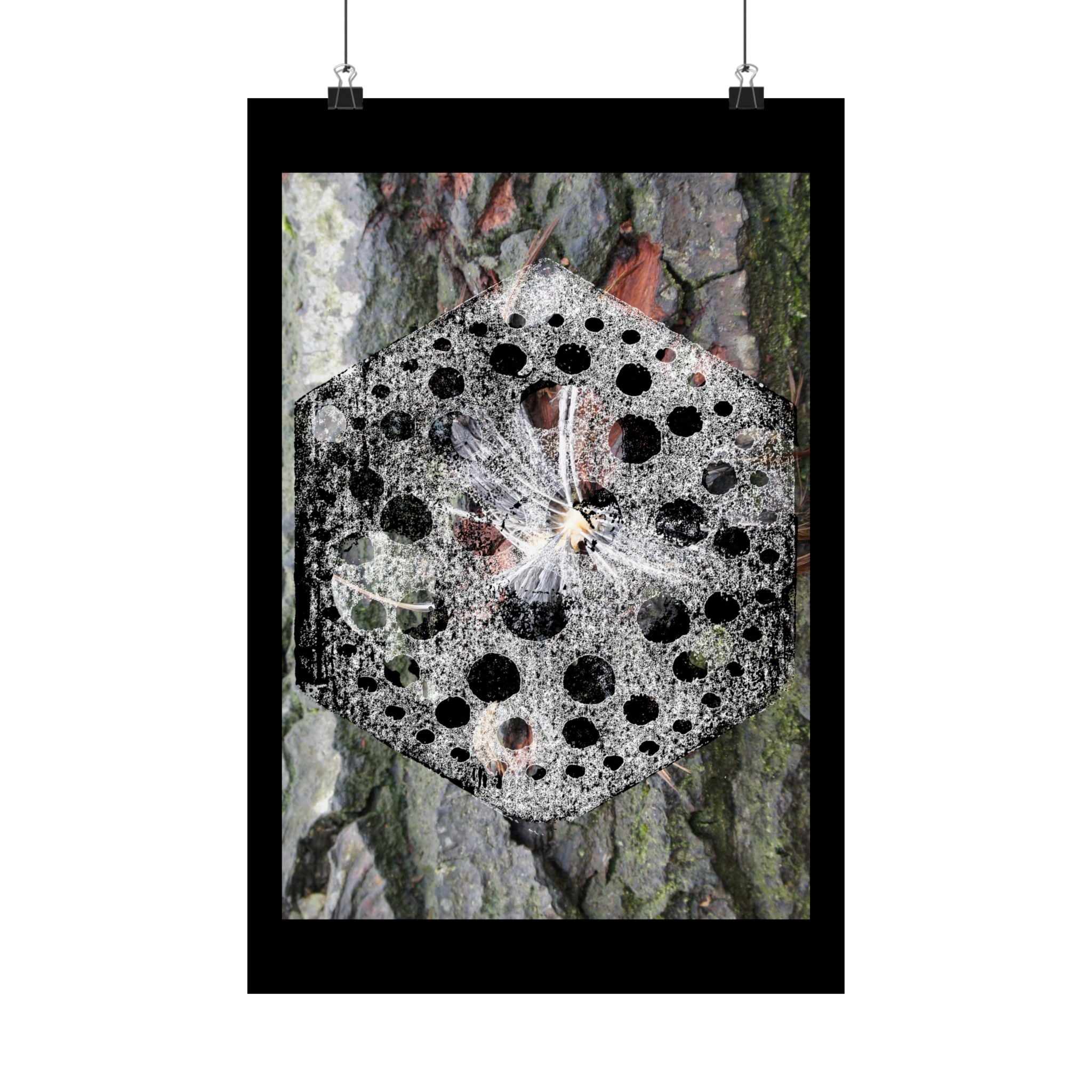 Abstract Nature Mandala Poster — Black & White Fungi Tree Bark Art (Matte Vertical Poster)