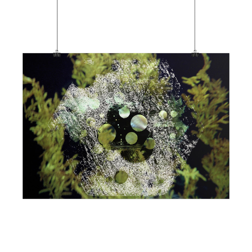 Abstract Nature Collage Horizontal Poster