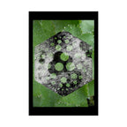 Matte Poster — Abstract Green Hexagon Botanical Print