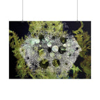 Horizontal Poster — Abstract Marine Coral Hexagon Art