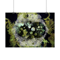 Abstracte poster met groene bubbels — Horizontale, op de natuur geïnspireerde muurdecoratie 