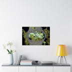 Abstracte poster met organische textuur en matte afwerking | Horizontale wanddecoratie, geïnspireerd op de natuur 