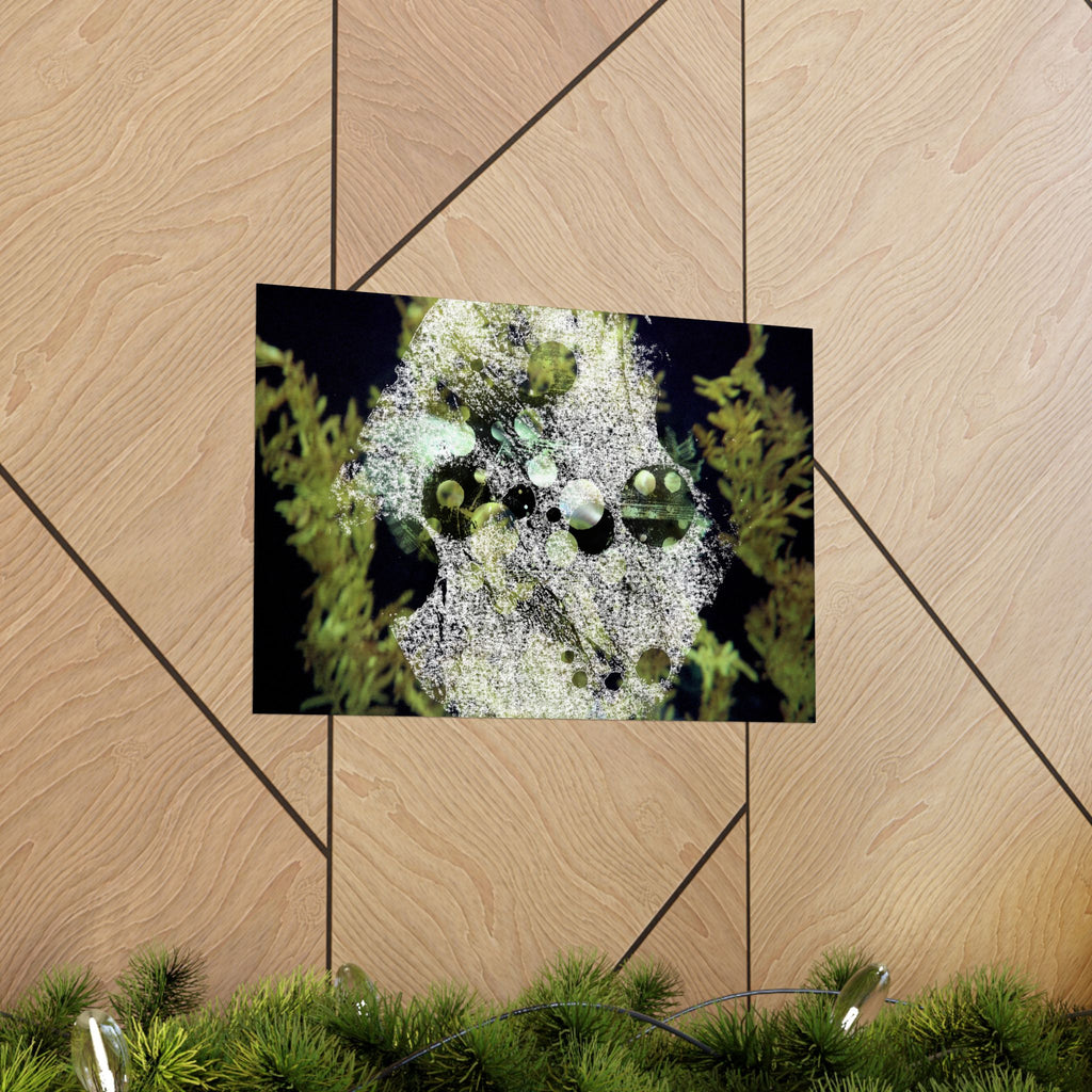 Abstract Green Algae Matte Poster — Botanical Ocean Wall Art (Horizontal)