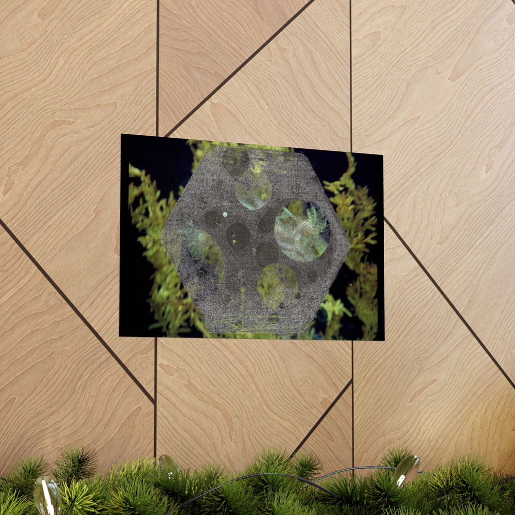 Abstract Botanical Moon Matte Horizontal Poster
