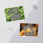 Abstract Geometric Photo Wall Calendar 2026 | Monthly Art Calendar