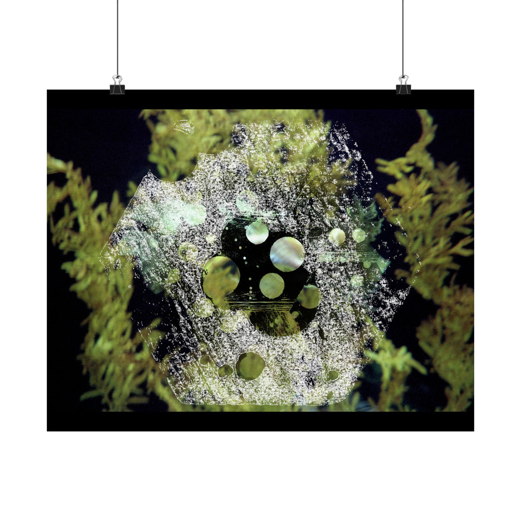 Abstracte natuurcollage, matte horizontale poster 
