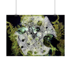Abstract Nature Horizontal Poster — Moss & Stone Texture Wall Art