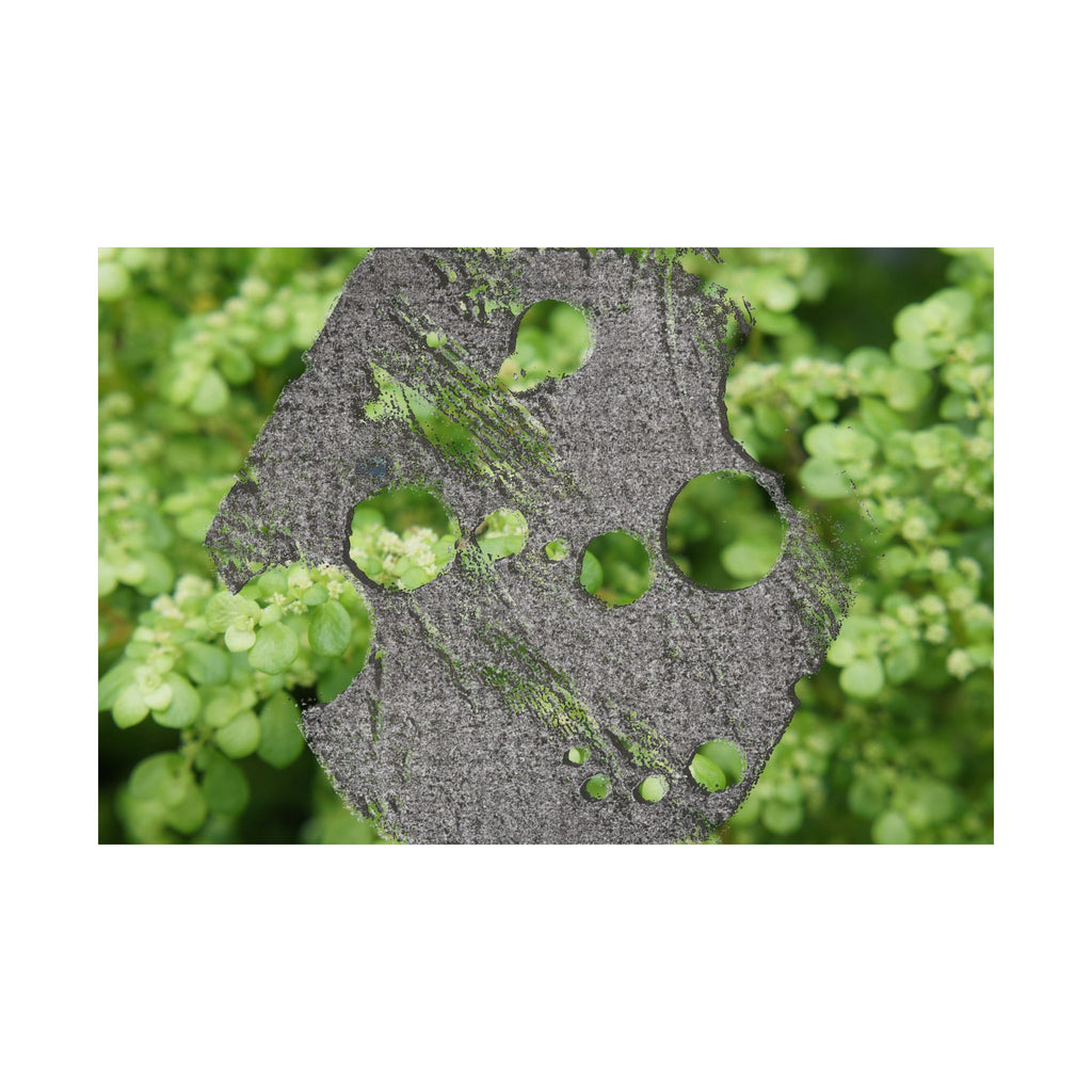 Abstracte poster met groen mos en verweerd metaal (mat) — Botanische natuur muurdecoratie (horizontaal) 