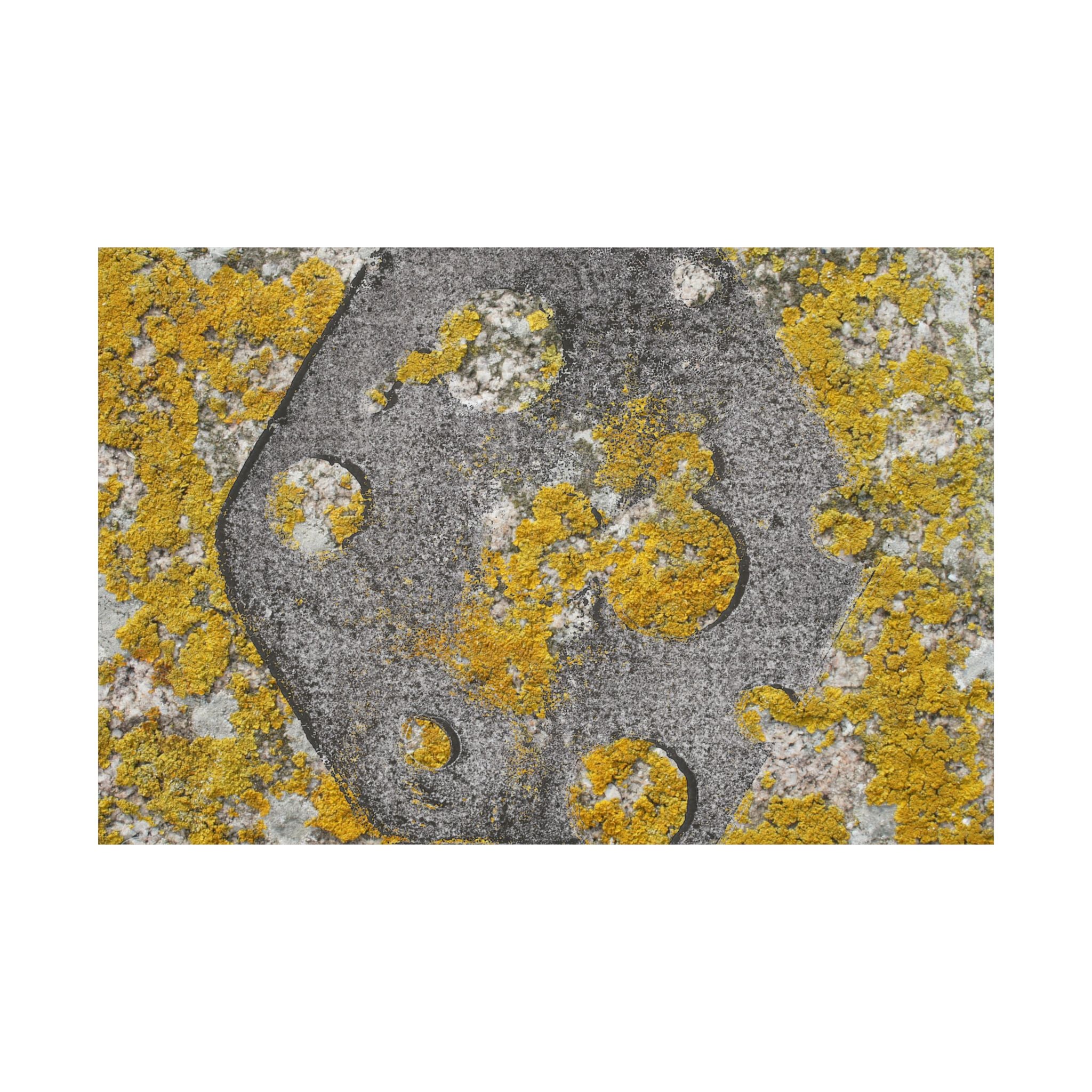 Abstracte poster met korstmosstructuur en matte afwerking — Geel &amp; Grijs Botanische Muurdecoratie 