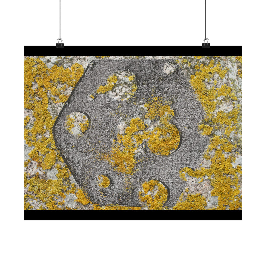 Abstracte poster met korstmosstructuur en matte afwerking — Geel &amp; Grijs Botanische Muurdecoratie 