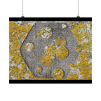 Abstracte poster met korstmosstructuur en matte afwerking — Geel &amp; Grijs Botanische Muurdecoratie 