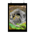 Abstract Hexagon Stone Matte Poster — Botanical Texture Wall Art