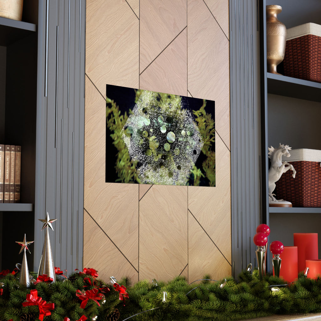 Abstract Green Hexagon Matte Poster — Botanical Geometric Wall Art