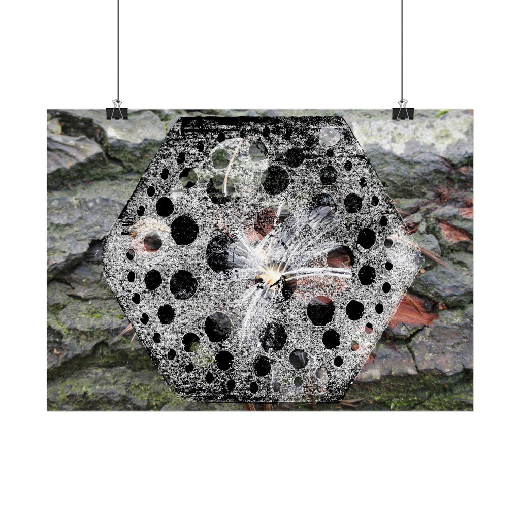 Dandelion Seed Macro Poster — Horizontal Nature Wall Art
