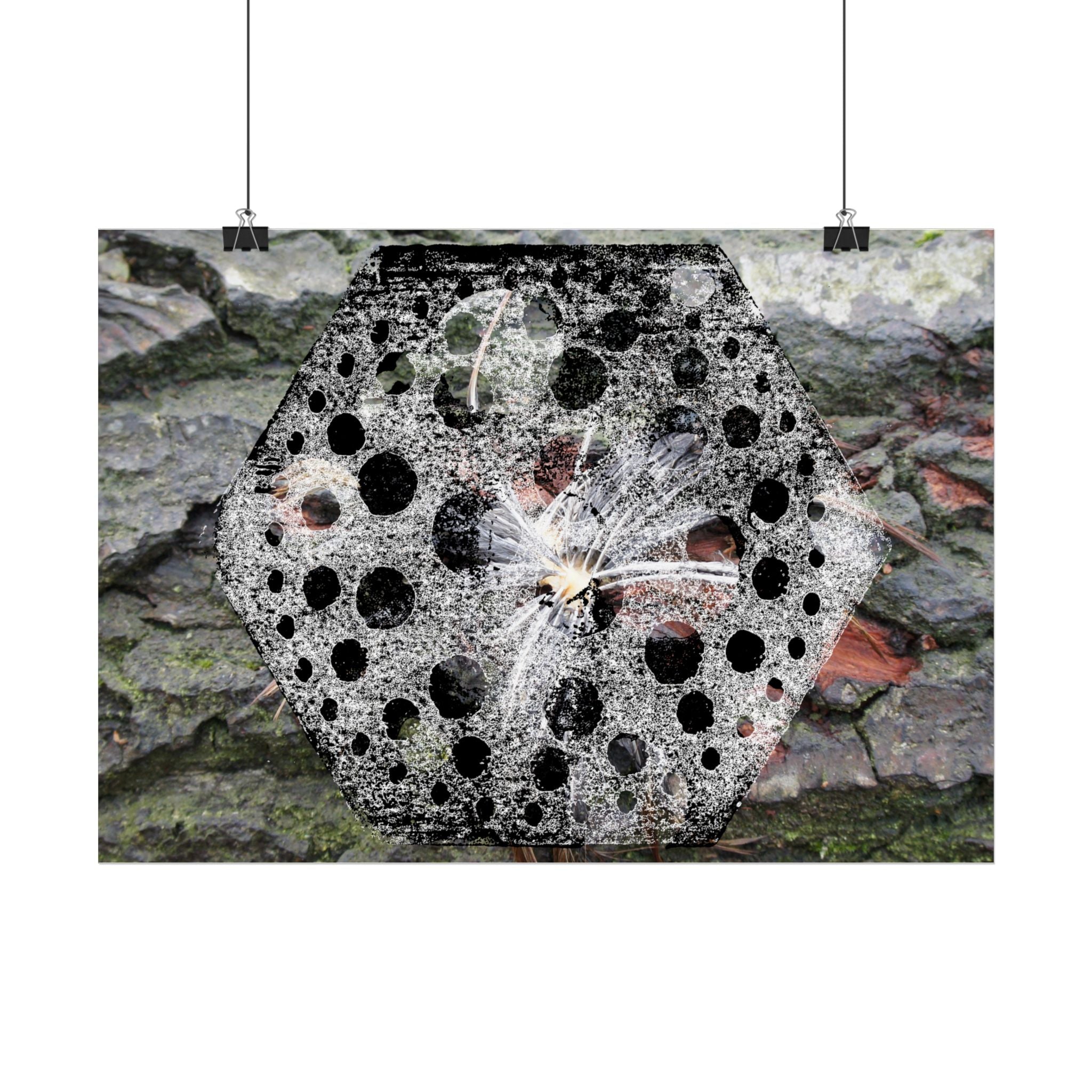 Macroposter van paardenbloemzaadjes — Horizontale natuurmuurdecoratie 