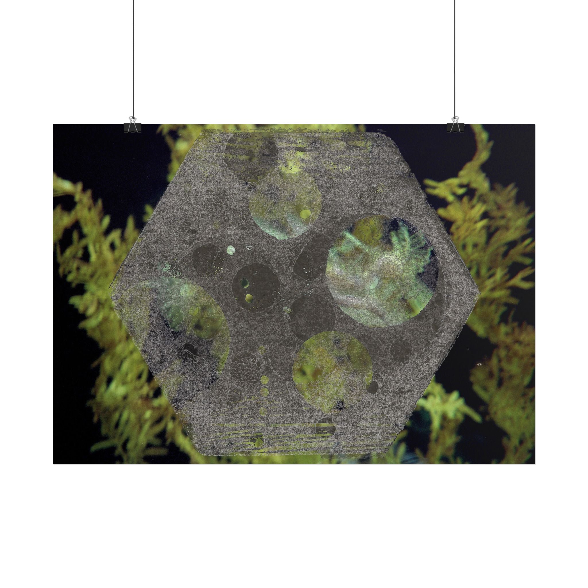 Abstracte botanische maan horizontale poster 