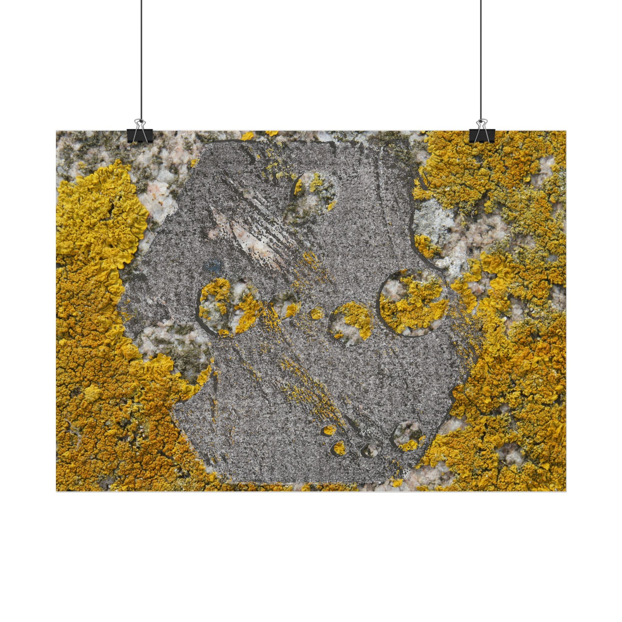 Poster met korstmosstructuur — Muurdecoratie met geel mos (horizontaal) 