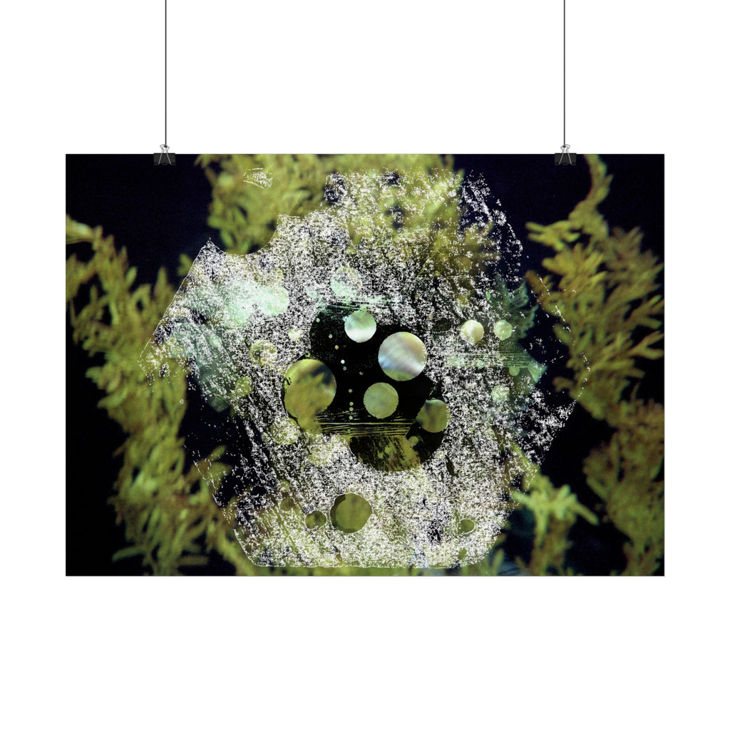 Abstract Nature Collage Horizontal Poster