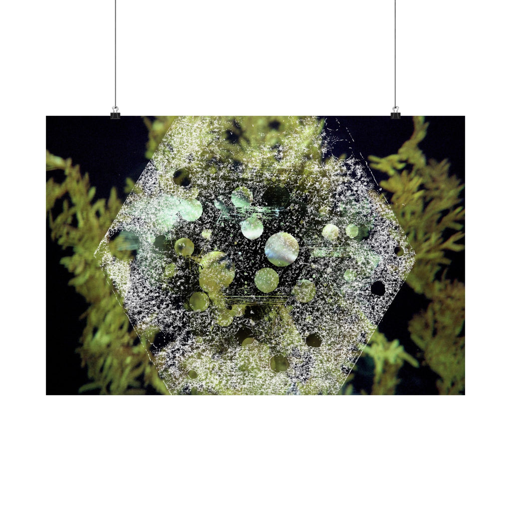 Abstract Green Hexagon Matte Poster — Botanical Geometric Wall Art