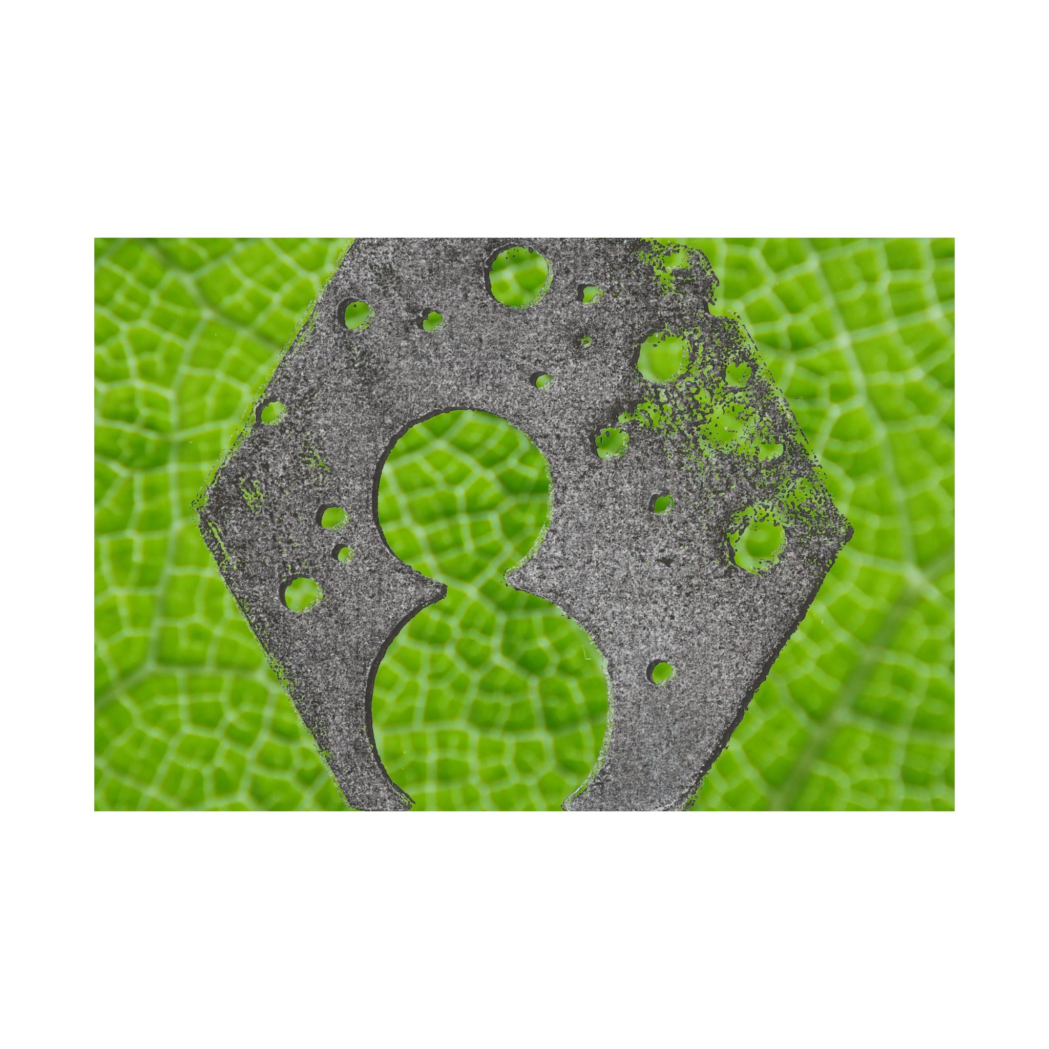 Bladstructuur nummer 8 poster, mat, horizontaal, groene botanische muurdecoratie 
