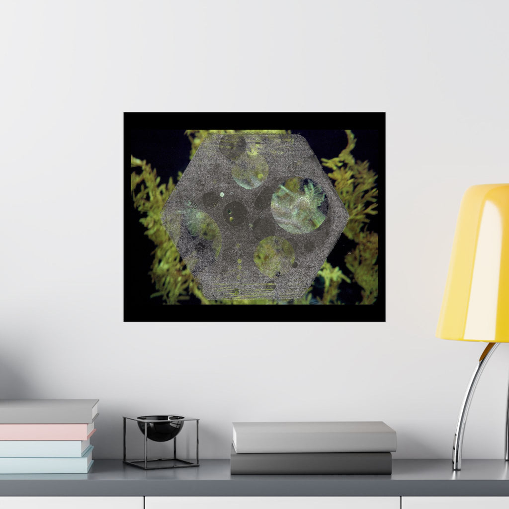 Abstract Botanical Moon Matte Horizontal Poster