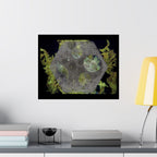Abstract Botanical Moon Matte Horizontal Poster
