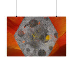 Abstract Hexagon Art Poster — Red Orange Matte Horizontal Print