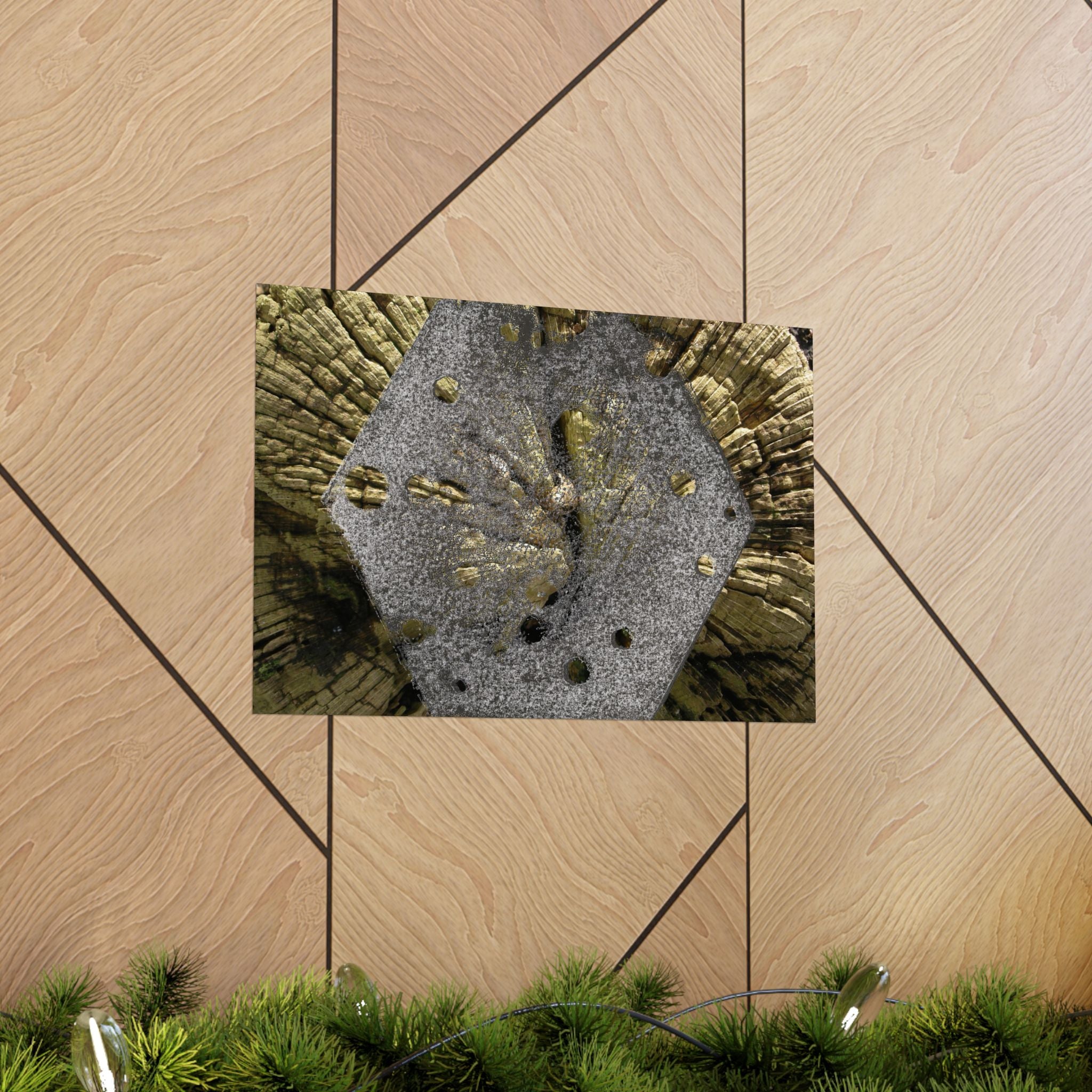 Weathered Tree Cross-Section Poster | Matte Horizontal Wall Art