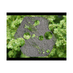 Abstracte poster met groen mos en verweerd metaal (mat) — Botanische natuur muurdecoratie (horizontaal) 